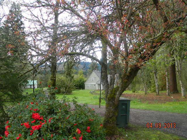 photo 1 of 44192 Mckenzie Hwy, Leaburg, OR 97489