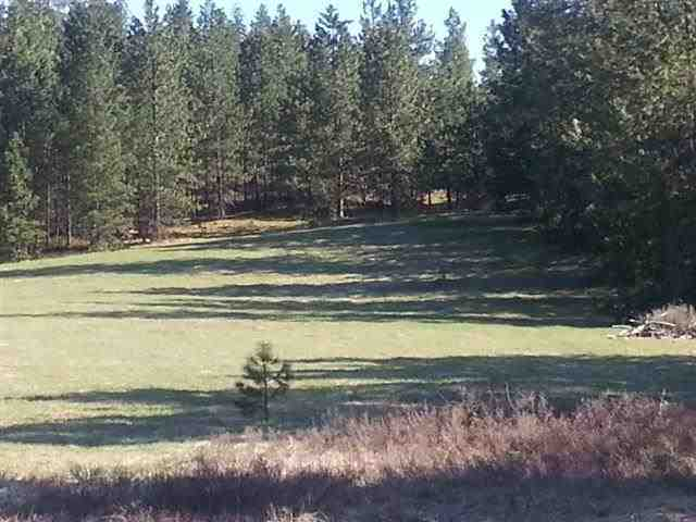 photo 1 of Valley Road, Clayton, WA 99110