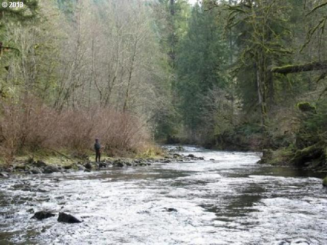 photo 1 of 38650 SE Delph Ridge Rd, Estacada, OR 97023