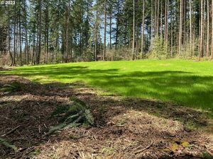 photo 1 of Next To 28633 SW Strawberry Hill Dr, Hillsboro, OR 97123