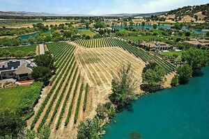 photo 1 of 1225 Lions Peak Ln, San Martin, CA 95046