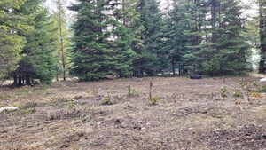 photo 1 of Lot 4 Jacob Dr, Priest River, ID 83856