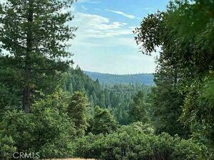 photo 1 of 12444 Manion Canyon Rd, Grass Valley, CA 95945
