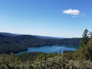 photo 1 of 21201 Pine Needle Ln, Nevada City, CA 95959