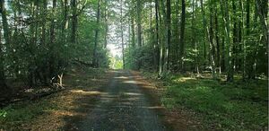 photo 1 of 24 Laneway St, Taunton, MA 02780