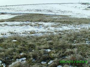 photo 1 of TBD Cove Rd, Weiser ID 83672
