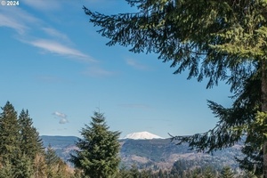 photo 1 of 260 Livingston Heights Dr, Longview, WA 98632