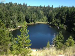 photo 1 of 88544 Collard Loop, Florence, OR 97439