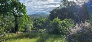 photo 1 of 47470 Road 210, Friant, CA 93626