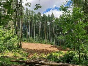 photo 1 of SW Strawberry Hill Dr, Hillsboro, OR 97123