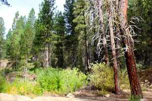 photo 1 of Tamarack Dr, Idaho City, ID 83631