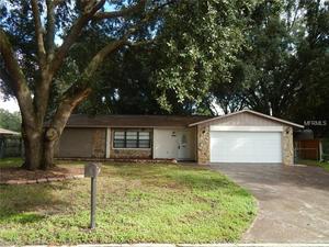 photo 1 of 4540 Debbie Ln, Lutz, FL 33559