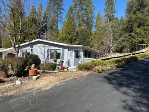 photo 1 of 39737 Road 274 #40, Bass Lake, CA 93604