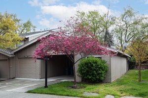 photo 1 of 10080 Firwood Dr, Cupertino, CA 95014