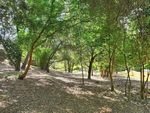 photo 1 of 0 Ridge St, Fair Oaks, CA 95628