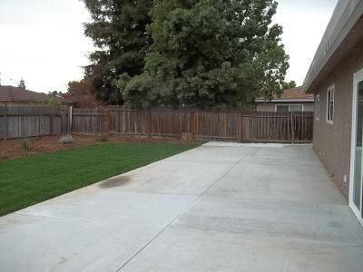 Photo #6