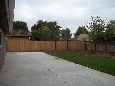 Photo #5