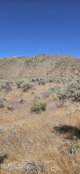 Photo #3