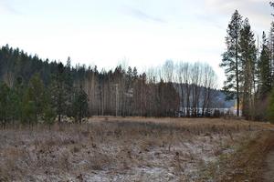 photo 1 of Panorama View Drive, Harrison, ID 83833