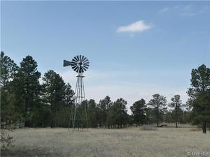 photo 1 of 10589 Pinecone Ln, Parker, CO 80134