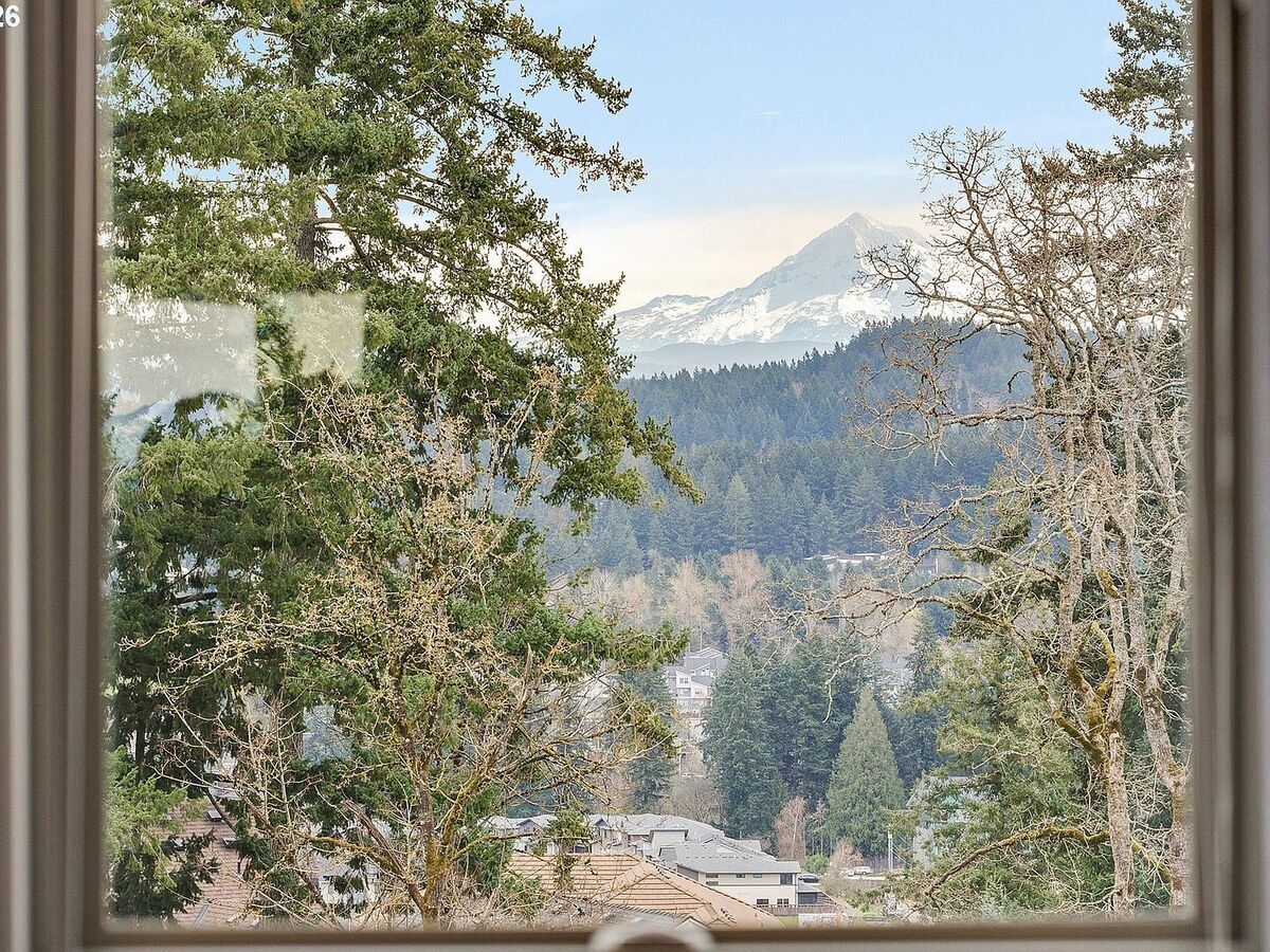 Photo #4