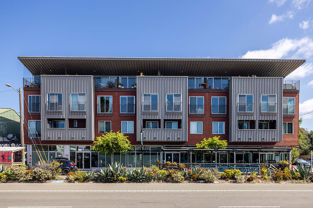 Photo #1
