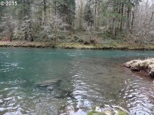 photo 1 of 7131 Kalama River Rd, Kalama, WA 98625
