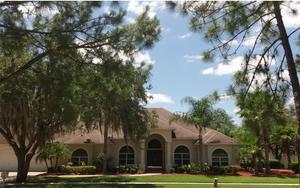 photo 1 of 1009 Emerald Creek Dr, Valrico, FL 33596