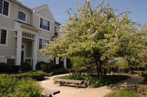 photo 1 of 3425 Ravinia Cir, Aurora, IL 60504
