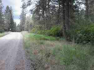 photo 1 of E Deer Lk, Loon Lk, WA 99148
