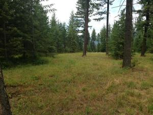 photo 1 of Blk 2 Abeja Rd Lot 5, Rathdrum, ID 83858