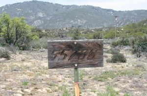 photo 1 of 55700 Smokethorn, Anza, CA 92539
