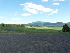 photo 1 of 8108 S Jackson Rd, Mica, WA 99023