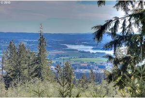 photo 1 of 7 Freeman Road, Kalama, WA 98625