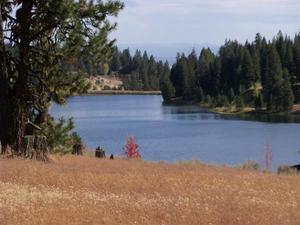 photo 1 of Lot 45 Wood Duck Ct, McCall, ID 83638