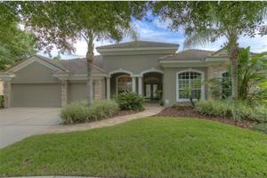 photo 1 of 17918 Arbor Haven Dr, Tampa, FL 33647