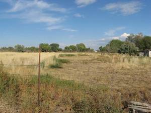 photo 1 of 772 Ronald Way, Fallon, NV 89406