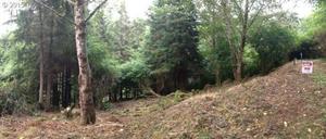 photo 1 of Ridge Ln, Neskowin, OR 97149