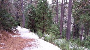 photo 1 of 5221 Five Spot Rd, Pollock Pines, CA 95726