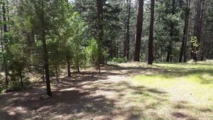 photo 1 of 420 Hideout Ln, Colfax, CA 95713