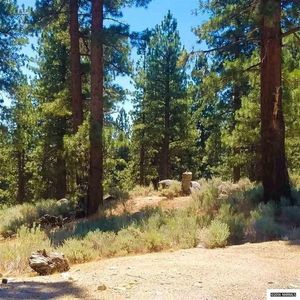 photo 1 of 110 Five Creek Rd, Gardnerville, NV 89460