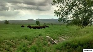 photo 1 of 4100 N Meridian Rd, Lovelock, NV 89419