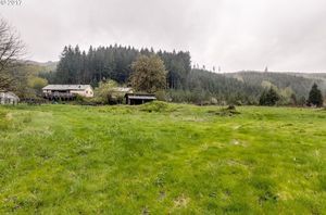 photo 1 of 40365 Brice Creek Rd, Dorena, OR 97434