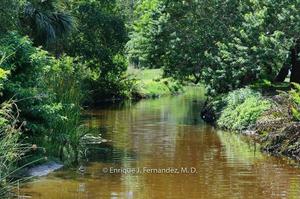photo 1 of 1619 Gasparilla Rd, Bradenton, FL 34209