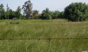 photo 1 of 16752 N Jack Tone Rd, Lodi, CA 95240