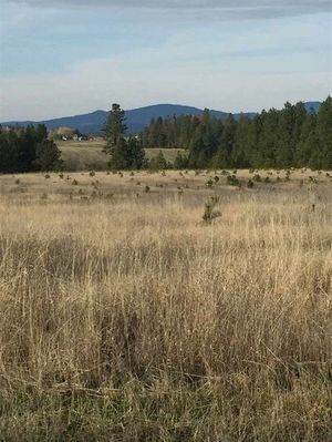 photo 1 of 000 Ziegler Ln, Colbert, WA 99005