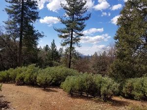photo 1 of Steamers Ravine, Colfax, CA 95713