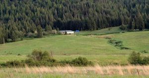 photo 1 of 3603 Windfall Pass Rd, Plummer, ID 83851