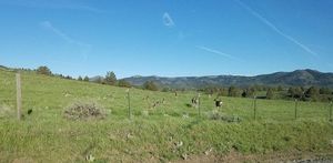 photo 1 of Wagner Mountain Dr, Alturas, CA 96101