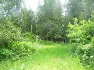 photo 1 of Elk, WA  99009